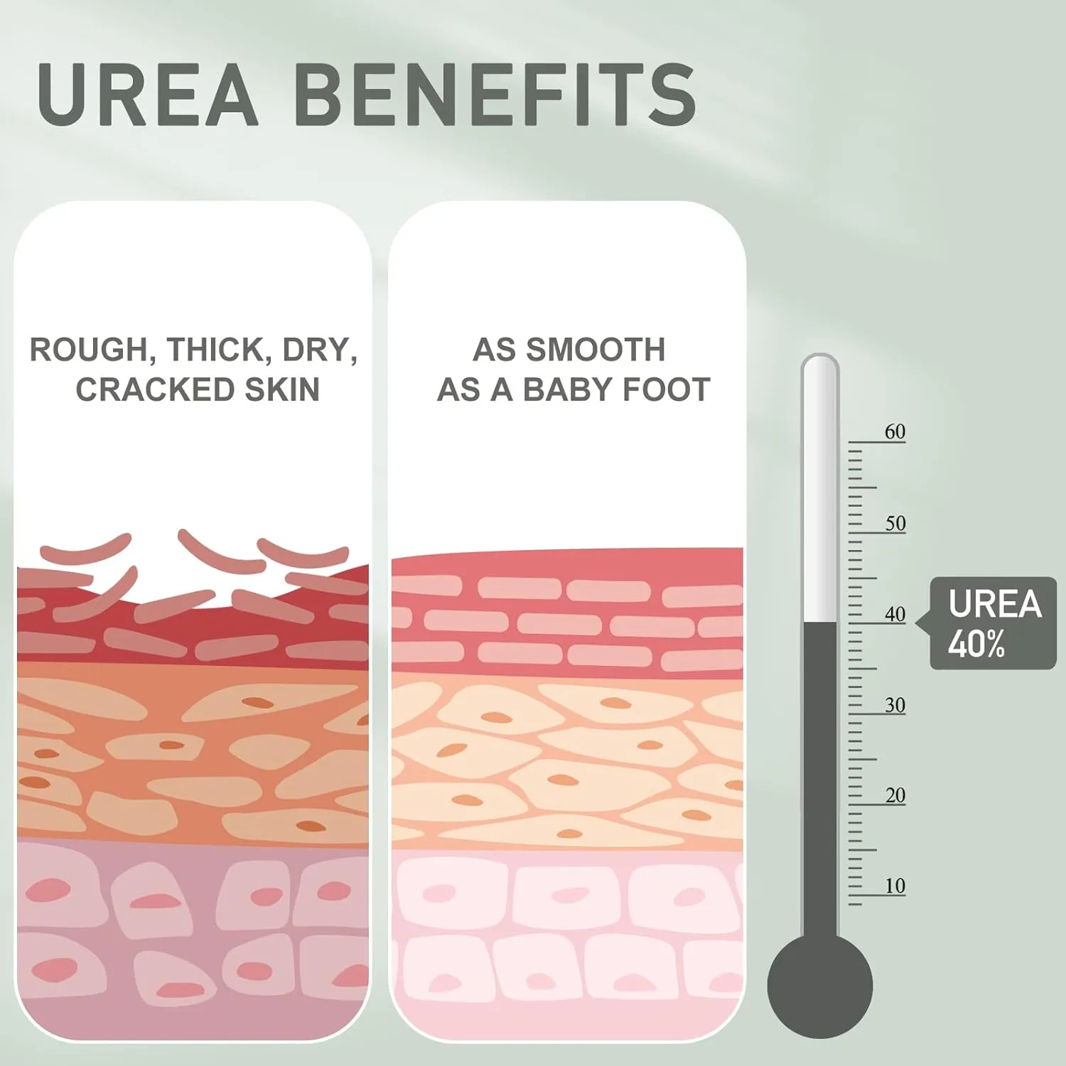 3 Packs Urea Cream 40 Percent - Foot & Hand Cream, for Dry, Cracked Heels, Feet, Knees, Elbows, and Hands, Callus Remover, Maximum Strength Urea Lotion for Softening and Moisturizing