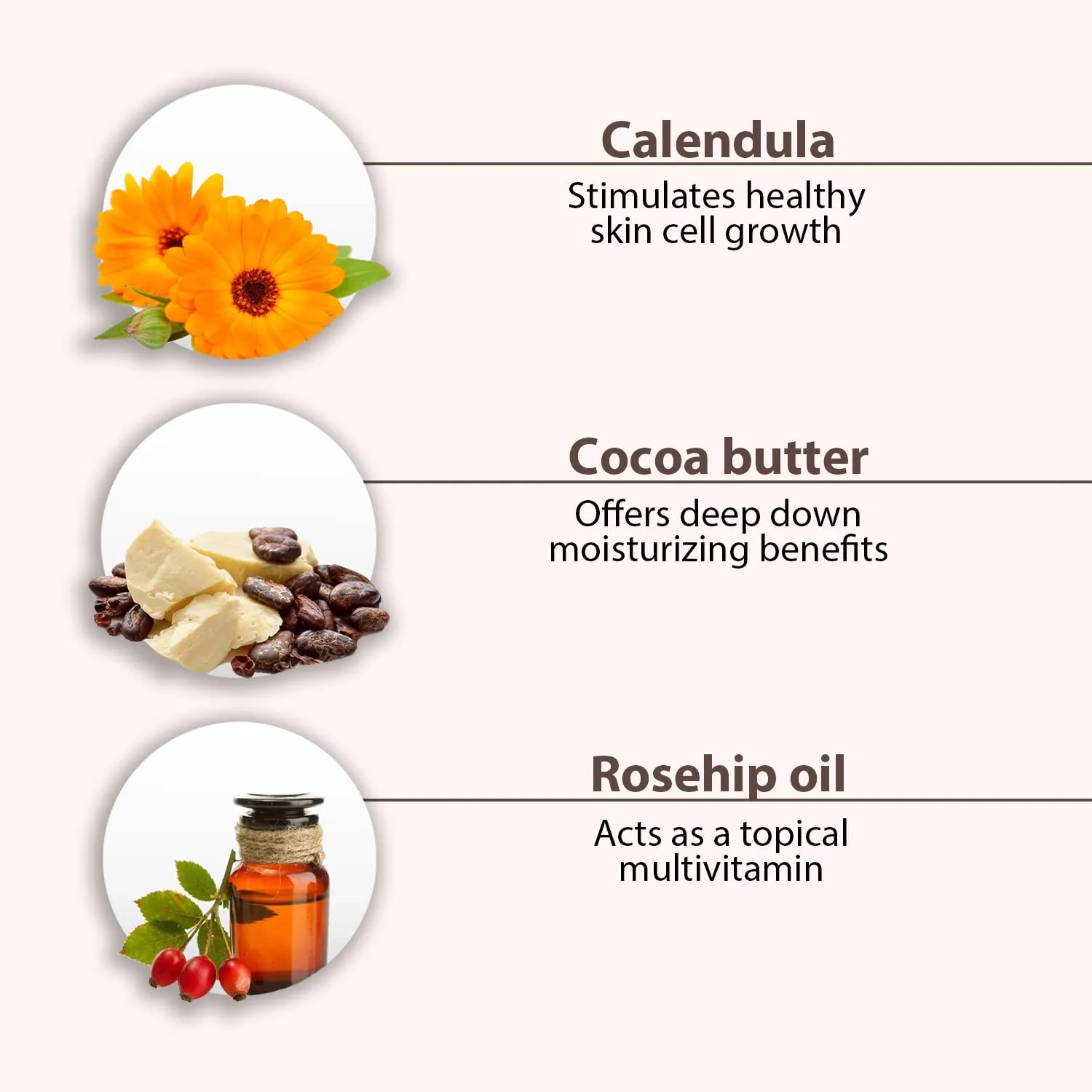 All Good Hand & Body Lotion - Moisturizing Organic Lotion for Dry Skin - Essential Oils, Cocoa Butter, Rosehip Oil, Arnica, Vitamin E - 6 fl oz (3-pack, Coconut, Lavender, Jasmine Rose)