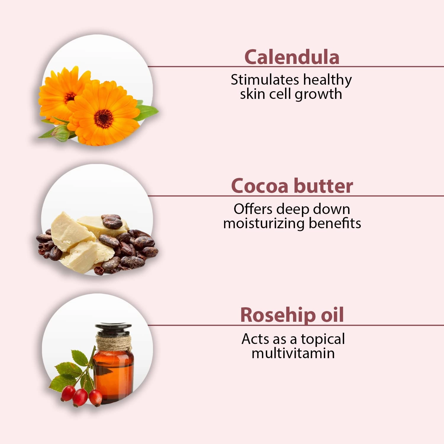 All Good Hand & Body Lotion - Moisturizing Organic Lotion for Dry Skin - Jasmine Oil, Cocoa Butter, Rosehip Oil, Arnica, Vitamin E - Non-Greasy Body Butter, 6 fl oz (2-pack, Jasmine Rose)