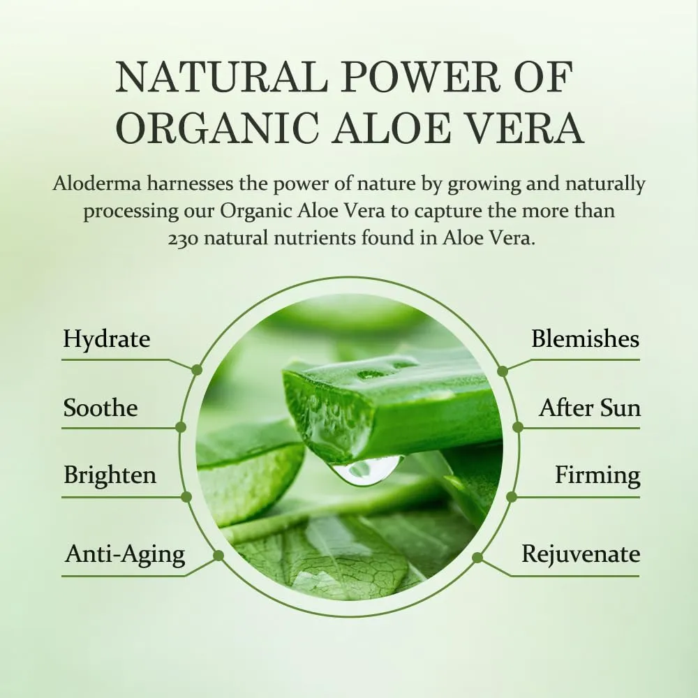 Aloderma Aloe Firming Eye Cream Made with 70% Organic Aloe Vera - Natural Daily Hydrating Eye Cream with Jojoba, Hyaluronic Acid, & Organic Aloe - Reduce Signs of Aging, Fine Lines & Wrinkles, 25g