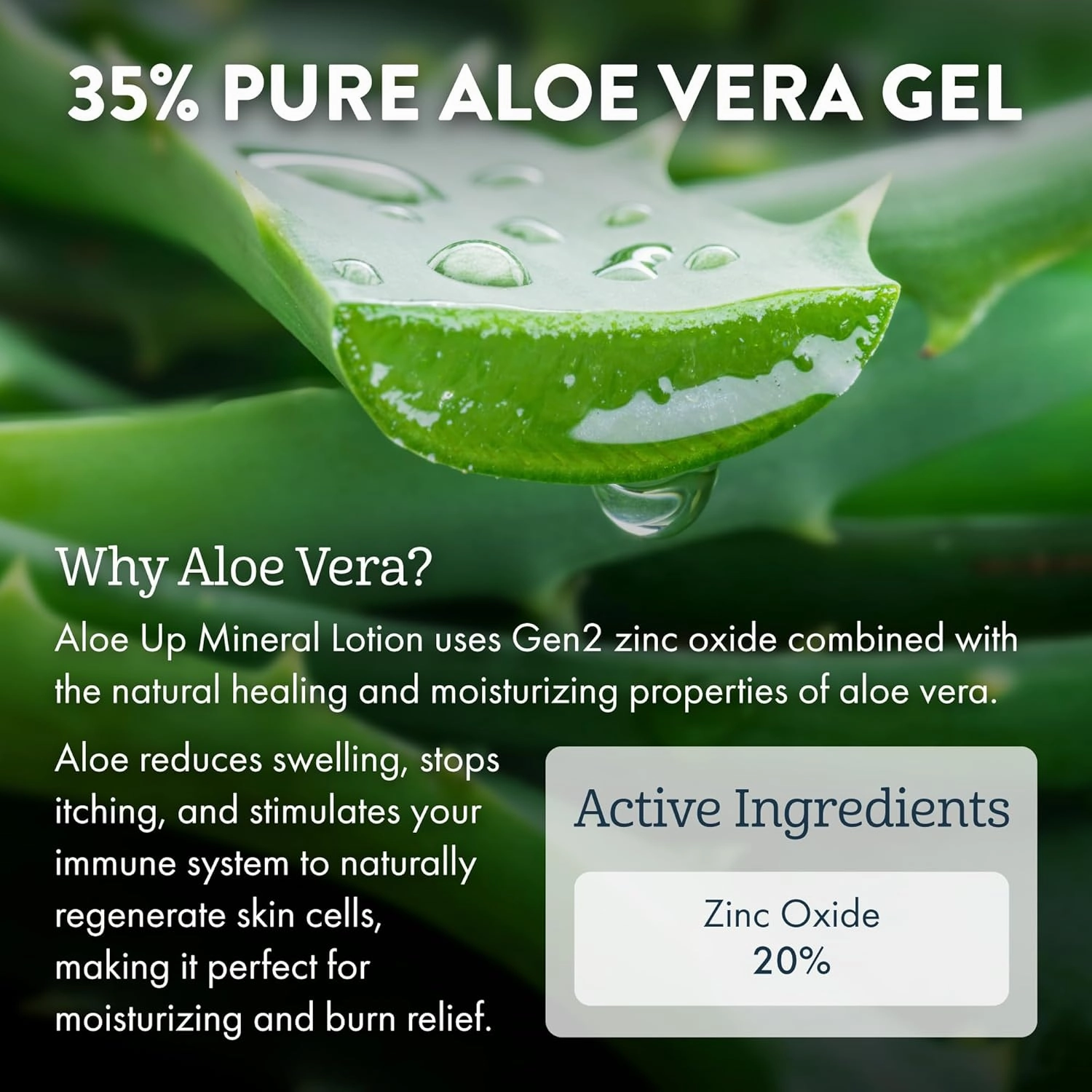 Aloe Up Mineral Sunscreen Lotion SPF 50 - Broad Spectrum UVA/UVB Sunscreen Protector for Face and Body - With Gen2 Zinc Oxide & Aloe Vera Gel - Dries Clear - Reef Safe - Coco-Mango Fragrance - 3 Oz.