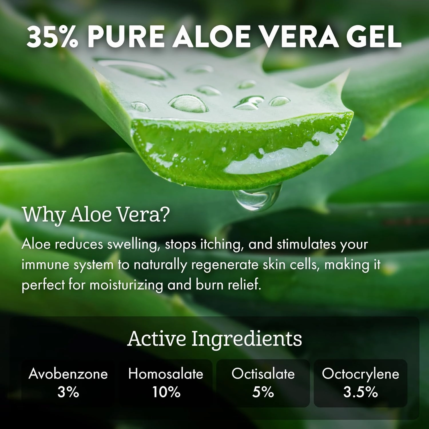 Aloe Up Sport Sunscreen Lotion SPF 30 - Broad Spectrum UVA/UVB Sunscreen Protector for Face and Body With Hydrating Aloe Vera Gel Non-Greasy No White Cast Reef Safe Fragrance-Free - 32 Oz.