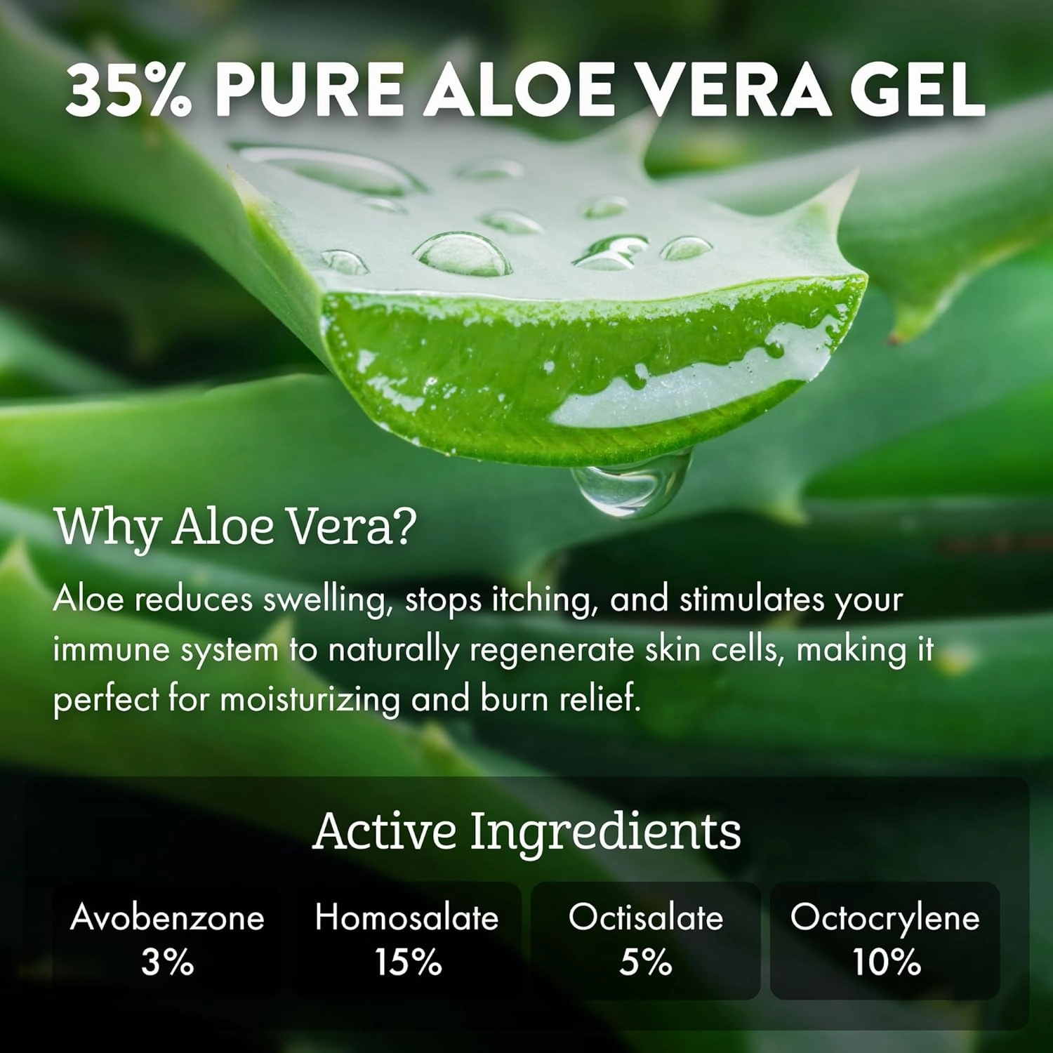 Aloe Up Sport Sunscreen Lotion SPF 50 - Broad Spectrum UVA/UVB Sunscreen Protector for Face and Body - With Hydrating Aloe Vera Gel - Non-Greasy - No White Cast - Reef Safe - Fragrance-Free - 6 Oz.
