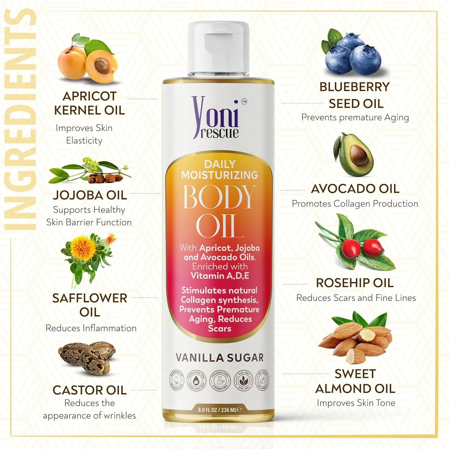 Daily Skin Moisturizing Body Oil with Apricot, Jojoba, Avocado & Vitamin E Oil | Hydrating & Nourishing for all Skin types | After Shower oil 8oz Vanilla Sugar Scented