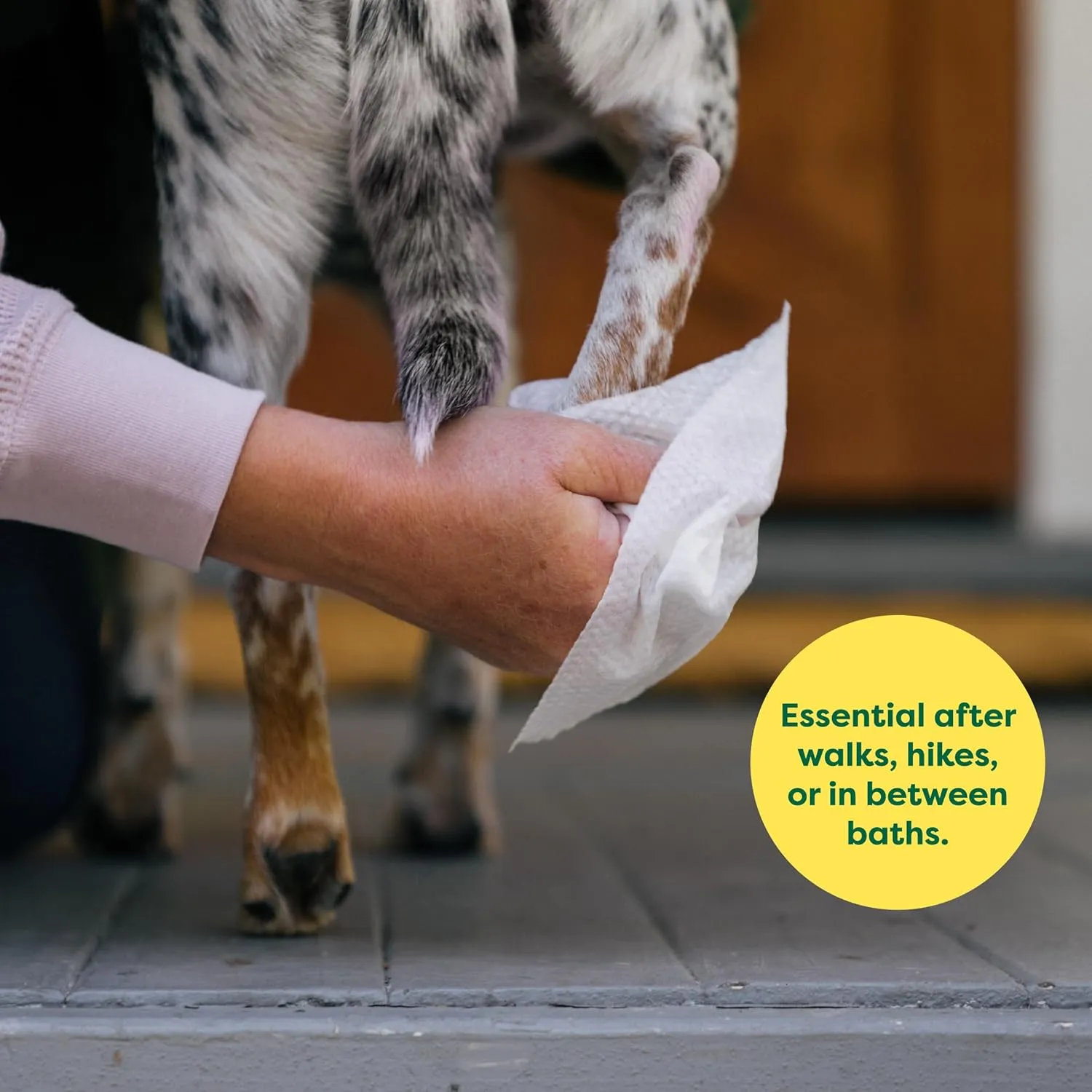 Earth Rated Pet Grooming Wipes for Dogs and Cats, Hypoallergenic, Cleaning and Hydrating, for Paws, Body and Butt, Unscented, 400 Count