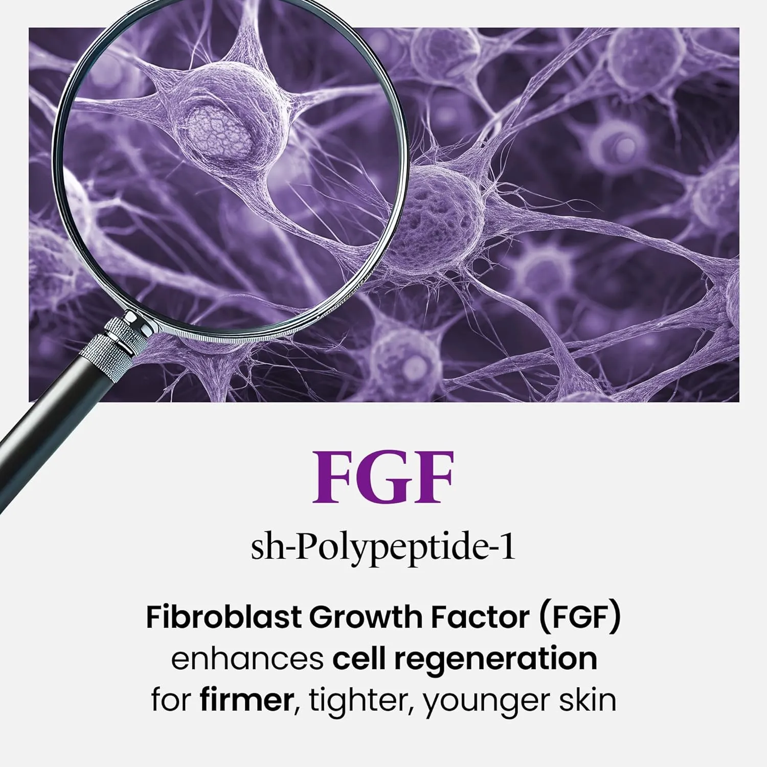 FGF-7 Collagen Ampoule | Firming Serum for Face w/ 3 Types of Collagen | Face Lifting Serum Ampoule Korean Skin Care | Face Care Ampoule Collagen Serum (3.38 Fl. Oz)