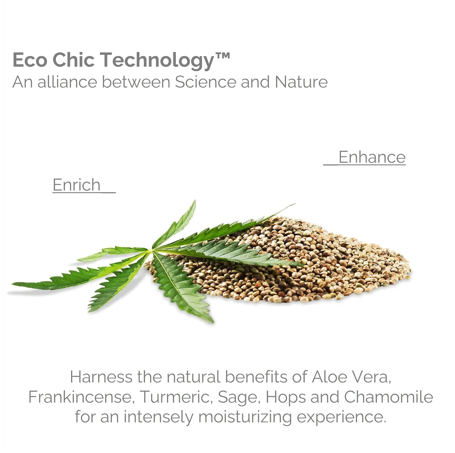 GIOVANNI Hemp Hydrating Hair Shine Spray - Contains Hemp Seed Oil, Aloe Vera, Frankincense, Helps Stimulate, Moisturize & Revitalize Damaged Hair, No Parabens, Sulfate Free - 4.3 Fl Oz