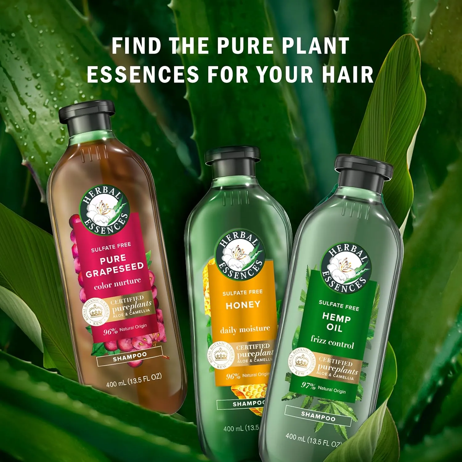Herbal Essences Honey Daily Moisture Conditioner, Protects and Nourishes Dry Hair, Hydrating Conditioner with Certified Camellia Oil and Aloe Vera, Moisturizing and Safe For All Hair Types, 33.8oz