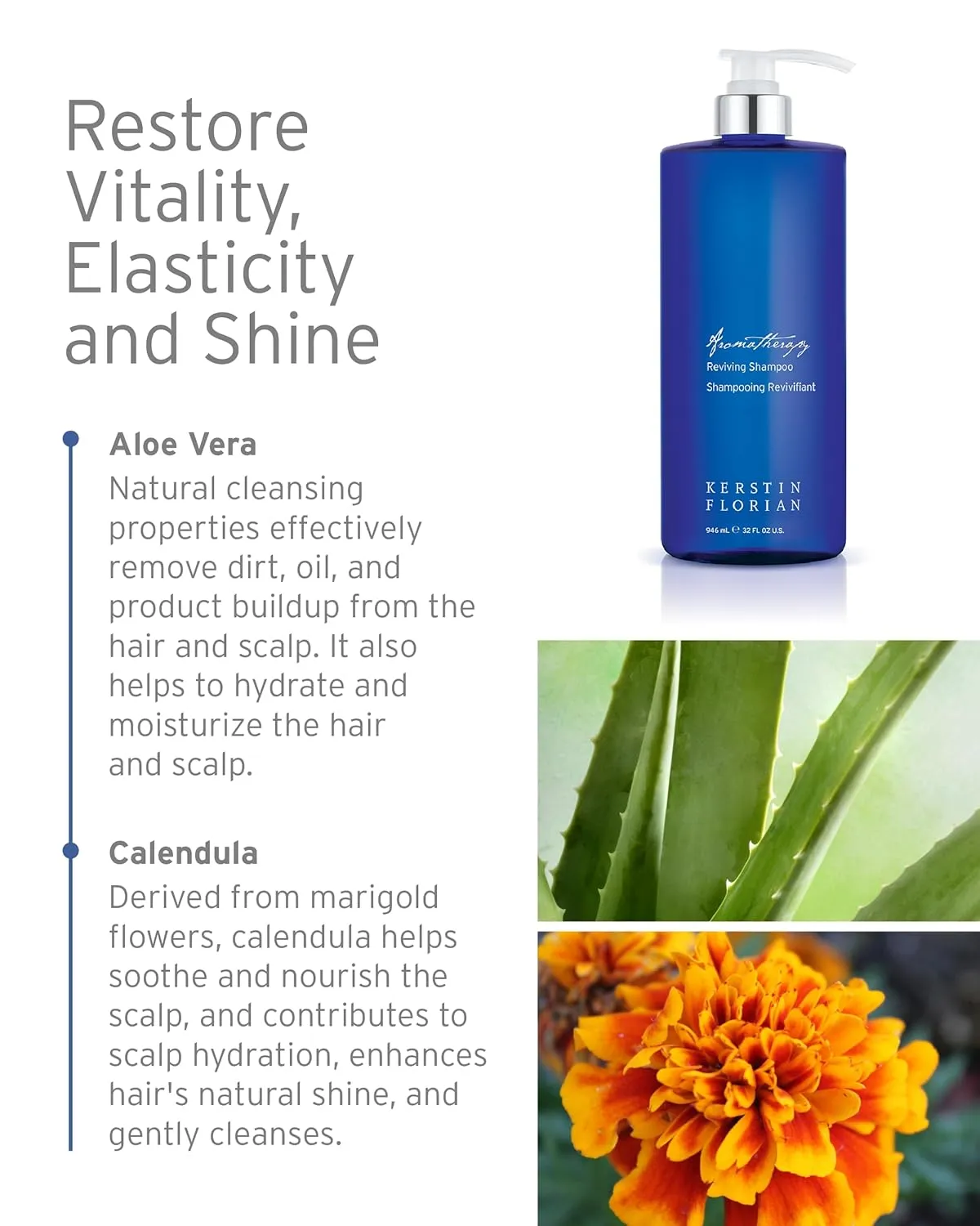 Kerstin Florian Reviving Shampoo | Moisturize & Boost Shine | Aloe and Wheat Protein Detangle & Hydrate Dull Hair | All Hair Types (13.5 fl oz)