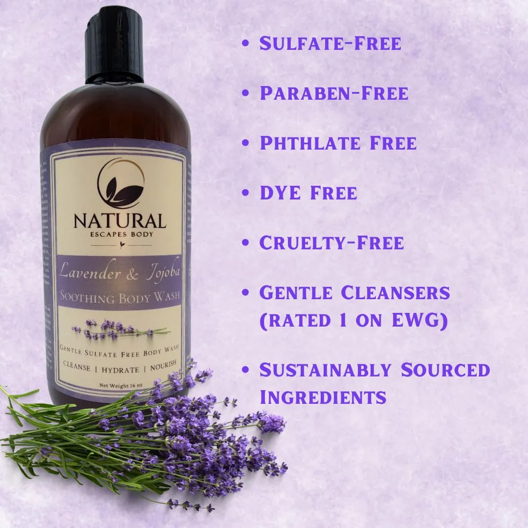 Lavender & Jojoba Soothing Body Wash | Calming Sulfate-Free Shower Gel for Soft, Hydrated & Healthy Skin | Moisturizing & Gentle for Normal & Sensitive Skin | 16 oz