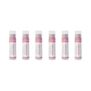 Natural Inspirations Moisturizing Tinted Lip Butter 6 Piece Set, Champagne