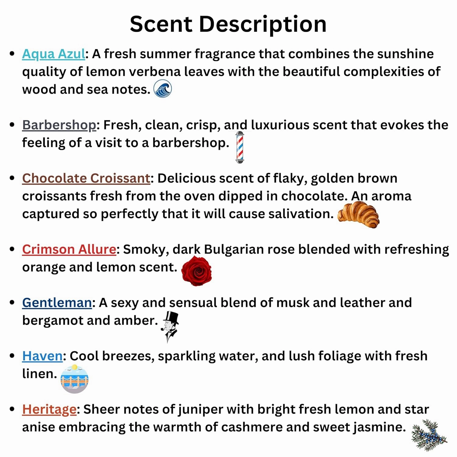 Nekoty Flower Stamp Foaming Hand Soap | Long Lasting Scent | Gentle and Moisturizing (Barbershop)