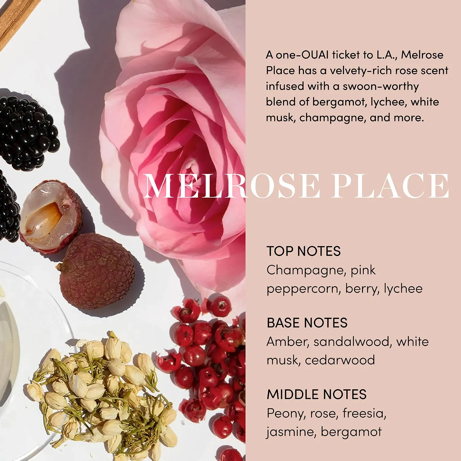 OUAI Body Cleanser, Melrose Place - Foaming Body Wash with Jojoba Oil and Rosehip Oil to Hydrate, Nurture, Balance and Soften Skin - Paraben, Phthalate and Sulfate Free Skin Care Products (10 Fl Oz)