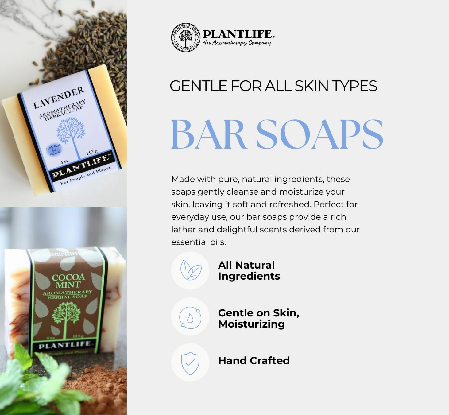 Plantlife Jojoba Rosehip 6-Pack Bar Soap - Moisturizing and Soothing Soap for Your Skin - Hand Crafted Using Plant-Based Ingredients - Made in California 4.5oz Bar