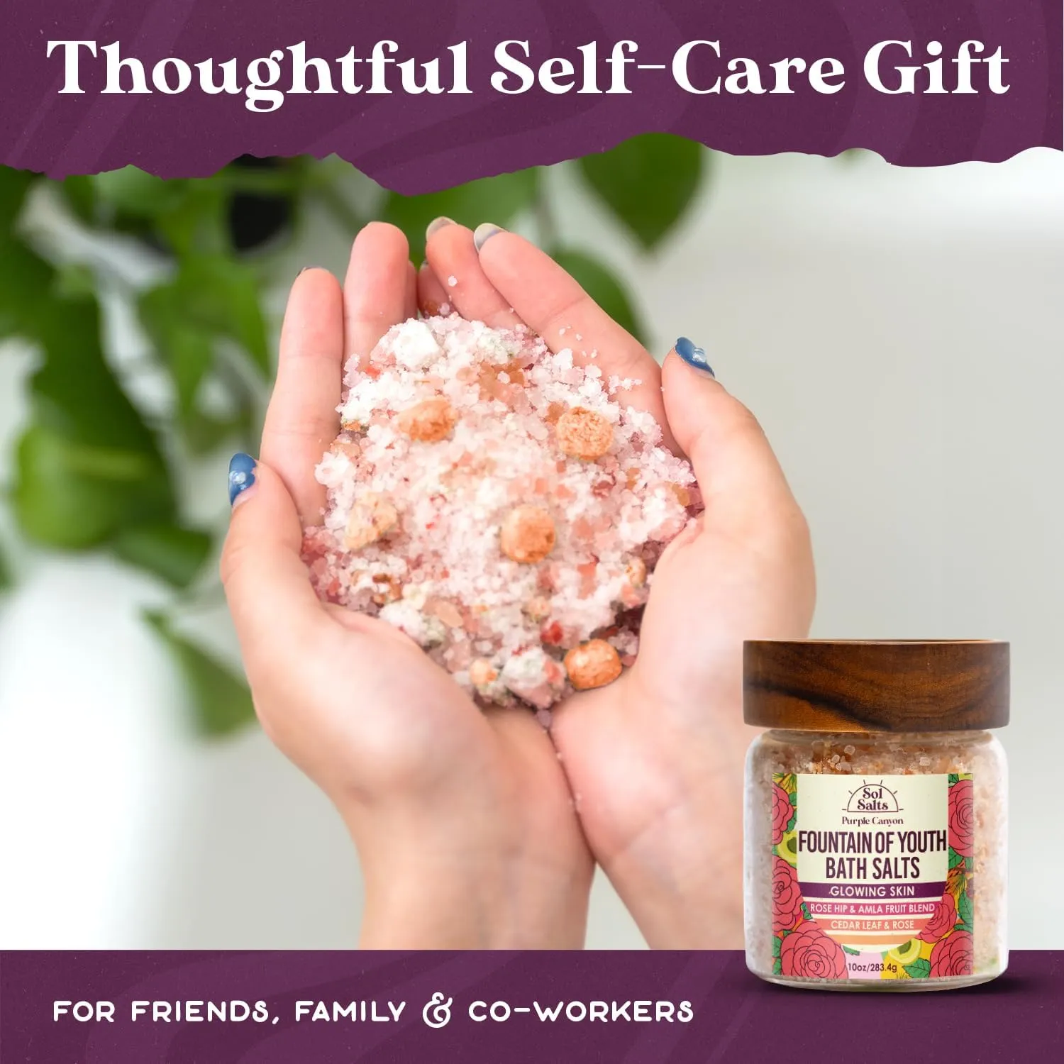 PURPLE CANYON SolSalts Fountain of Youth Bath Salts | Lavender, Rose, & Cedar Leaf Scented Detox Soak with Epsom Salt, Amla & Rosehip for Glowing Skin