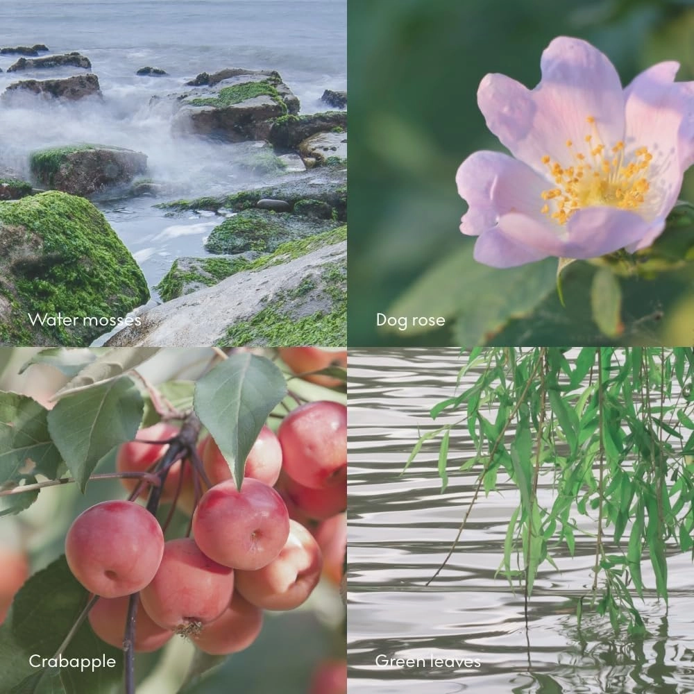 Skandinavisk ØY ‘Island Hand Body Lotion, Crabapple and dog rose, water mosses and green leaves, 16.91 fl. oz.