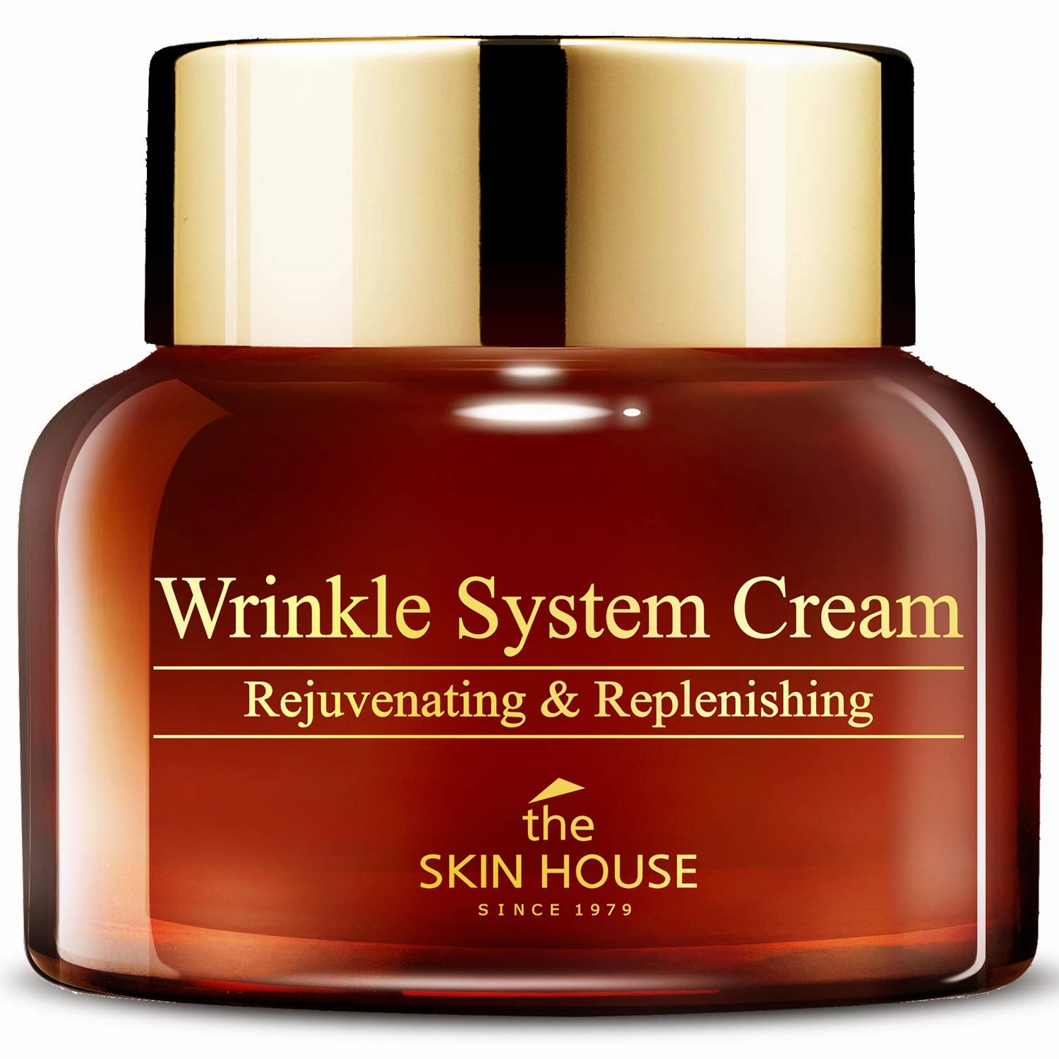 THE SKIN HOUSE Wrinkle System Cream 1.76 fl.oz Korean Wrinkle Facial Moisturizer | Fine Lines, Firming, Lifting, Plumping | Snail mucin, Collagen, Adenosine, Ceramide, 50g