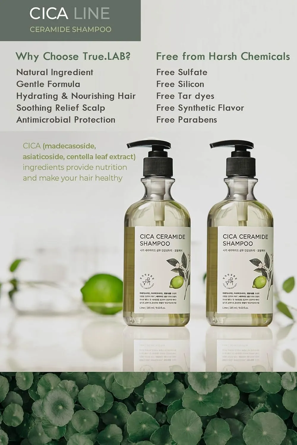 TheMogan True.LAB Cica Ceramide Shampoo 285ml - Soothing & Hydrating Formula with Centella Asiatica, Ceramides, and Natural Oils for Healthy Scalp and Hair