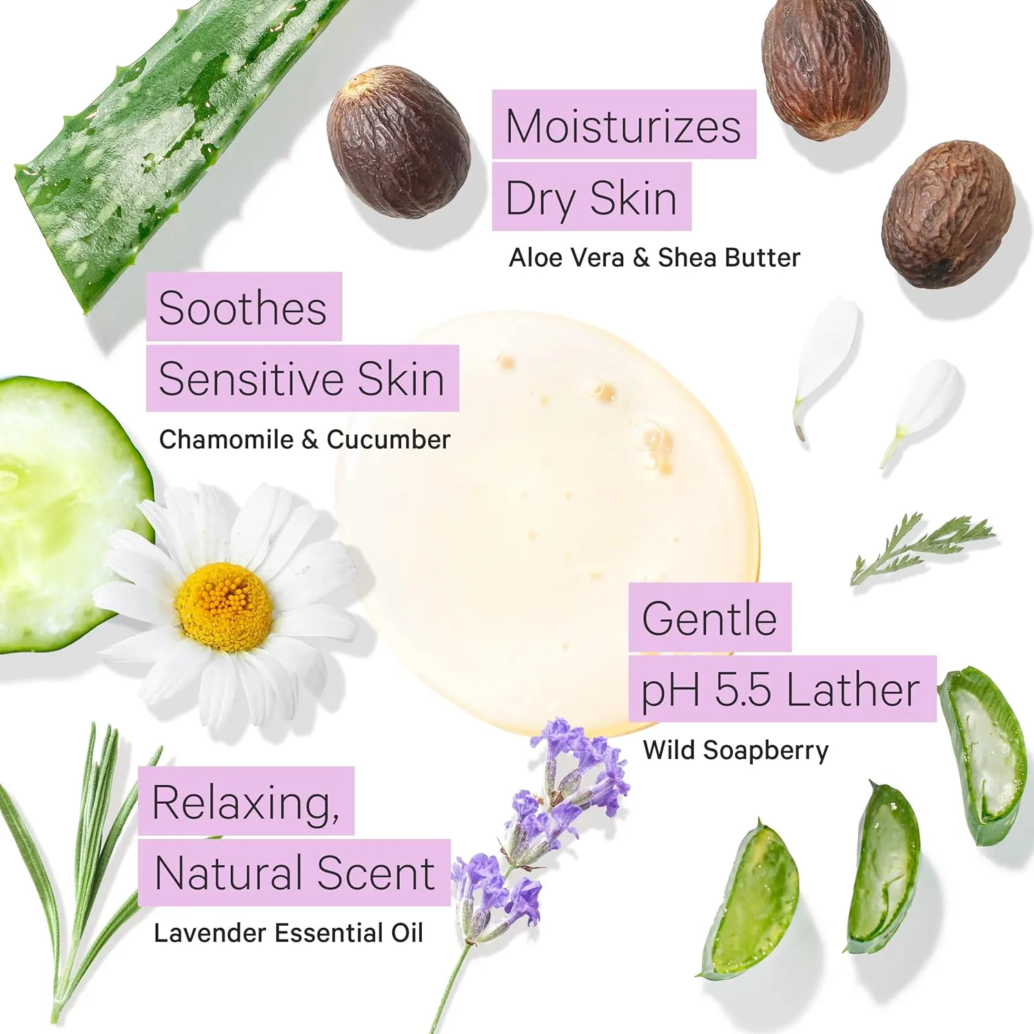Tree to Tub Lavender Body Wash for Sensitive Skin & Dry Skin - pH Balanced Moisturizing Body Wash, Hydrating Sulfate Free Vegan Body Soap for Women & Men w/Organic Shea Butter, All Natural Aloe Vera