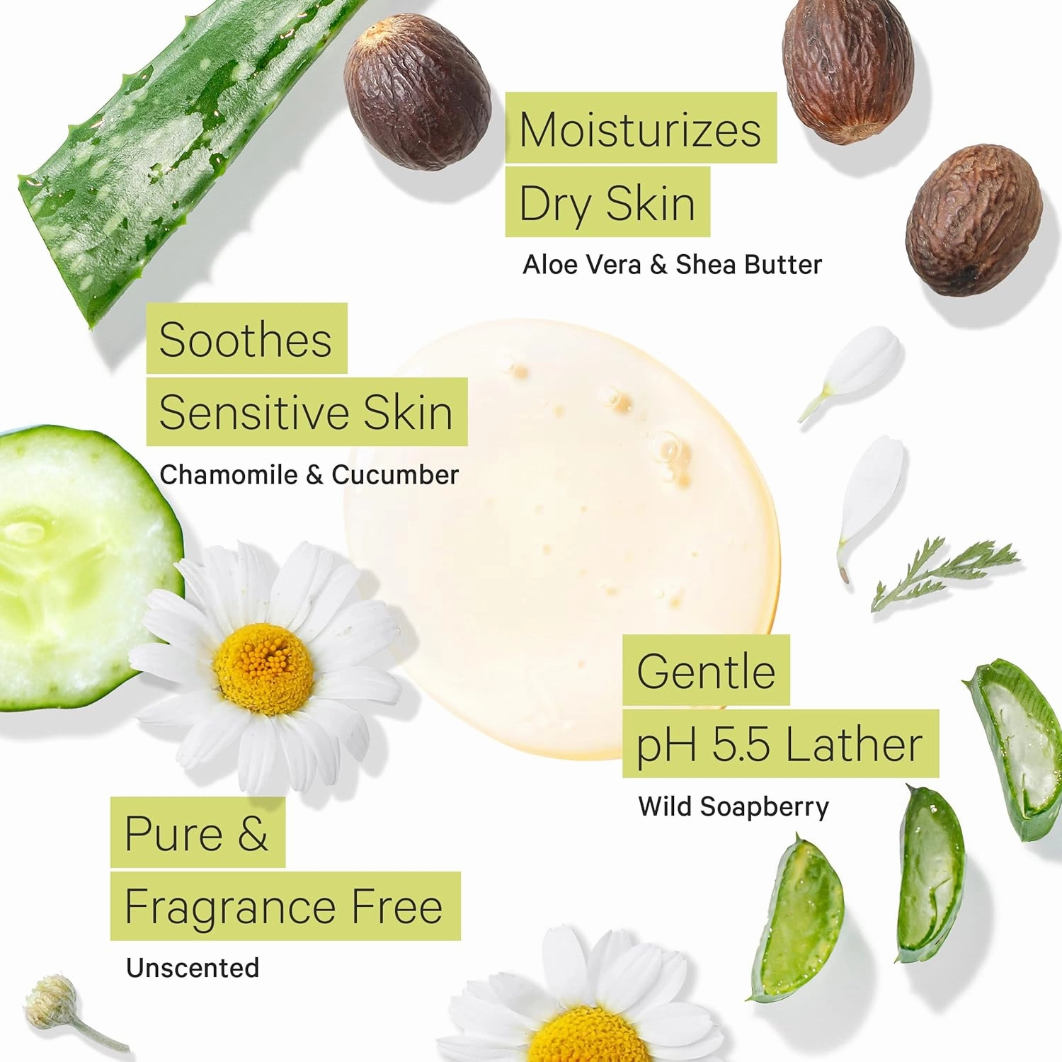 Tree to Tub Unscented Body Wash for Sensitive Skin & Dry Skin - Moisturizing pH Balanced Fragrance Free Body Wash, Hydrating Sulfate Free Body Soap for Women & Men w/Organic Shea Butter, Natural Aloe