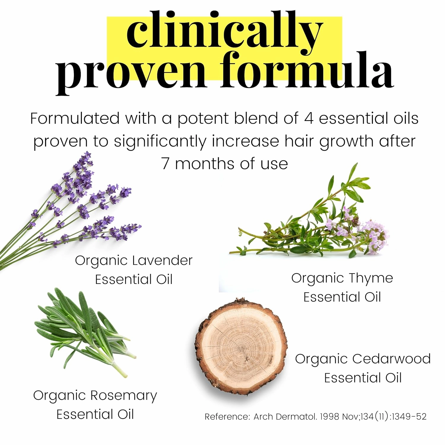 USDA Organic Rosemary Oil for Hair Growth with Castor, Jojoba, Argan, Amla & More Deeply Hydrates & Intense Nourishment for Itchy Scalp, Stubborn Dandruff & Dry Scalp Treatment, 3 Pack