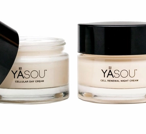 YASOU Vegan Face Cream Set | Pro-Aging Moisturizer For Face | Vegan Day And Night Cream With Algae Hydasine | Promotes Collagen | For Radiant Skin | Handmade