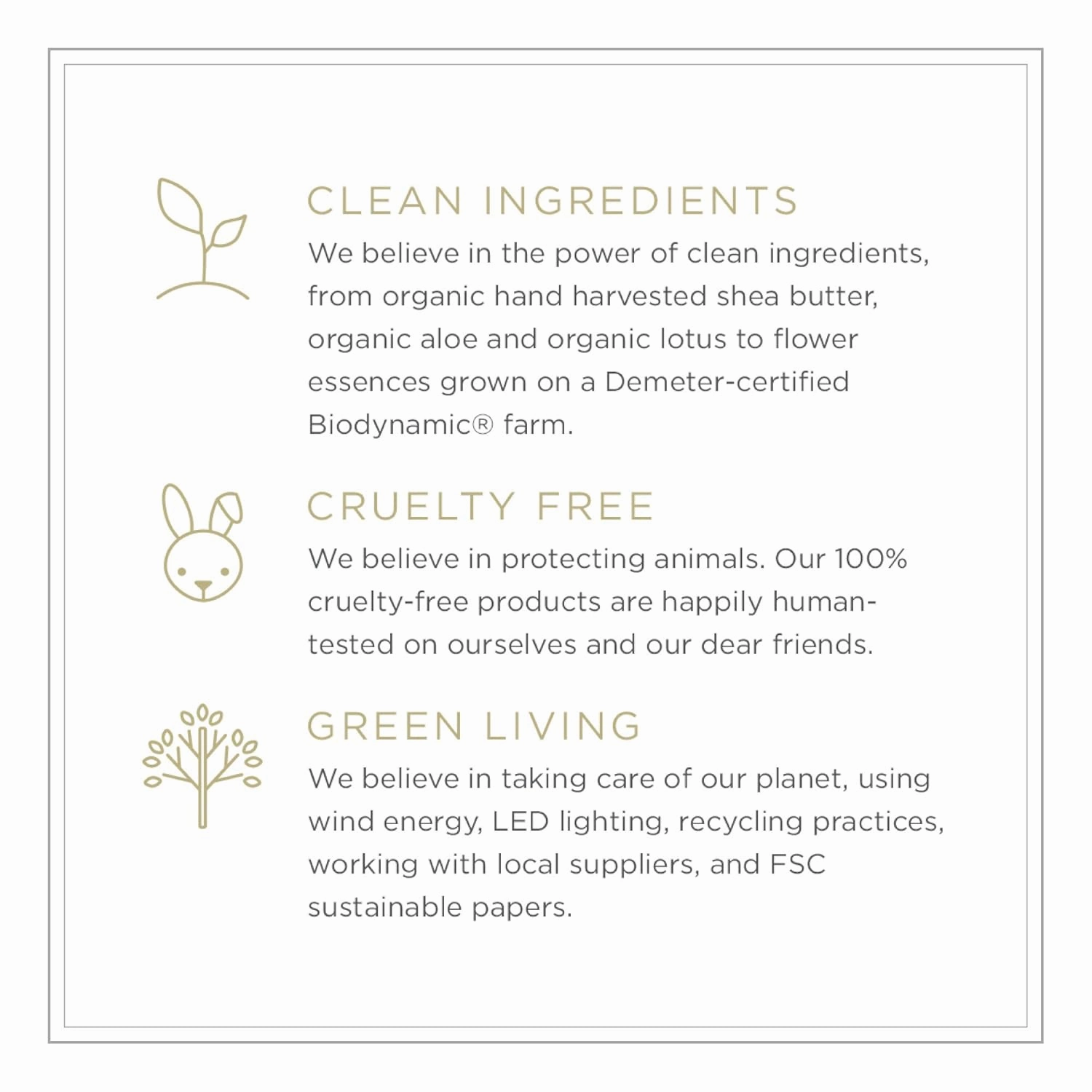 Zents Hand & Body Wash (Fresh Fragrance) | Hydrating Anti-Aging Cleanser with Organic Shea Butter & Aloe for Dry Skin | Gentle & Nourishing | 10 fl oz